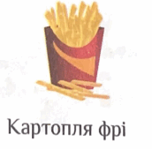 0500y0fo-b5ec-172x169.png