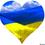 Боровкова Ілона Юріївна