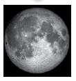 0500y706-d104-110x117.png