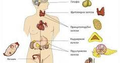 Залози внутрішньої та змішаної секреції. Профілактика захворювань ендокринної системи | Тест на 10 запитань. Біологія