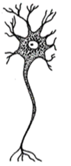 0500yaqw-f5be-102x236.png