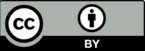 0500ybrl-9192-145x51.png