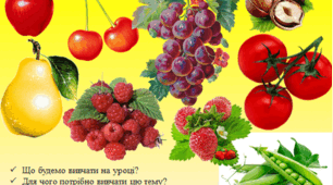 Пристосування рослин до розмноження і поширення