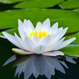 0500ycy6-7fd3-160x160.jpg