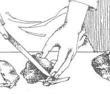 0500yel1-d537-217x187.jpg
