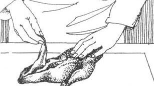 0500yel5-4e7a-307x172.jpg