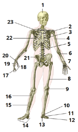 0500yf91-dcf6-315x532.png