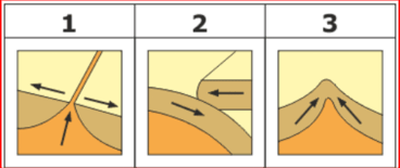 0500ygf1-7798-368x155.png