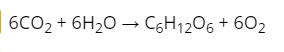 0500yidb-1225-284x52.png