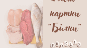 Флеш картки до теми "Білки"