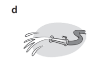 0500ykyd-407b-215x127.png