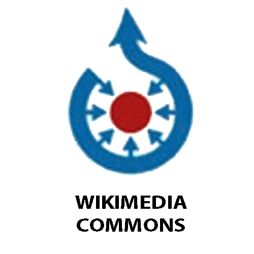 0500ylkg-0f6e-500x500.png
