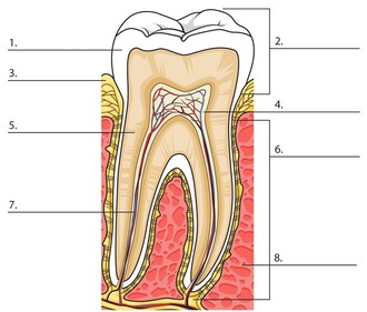 0500yvgi-39f3-330x281.jpg