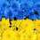 Донська Тетяна Федорівна
