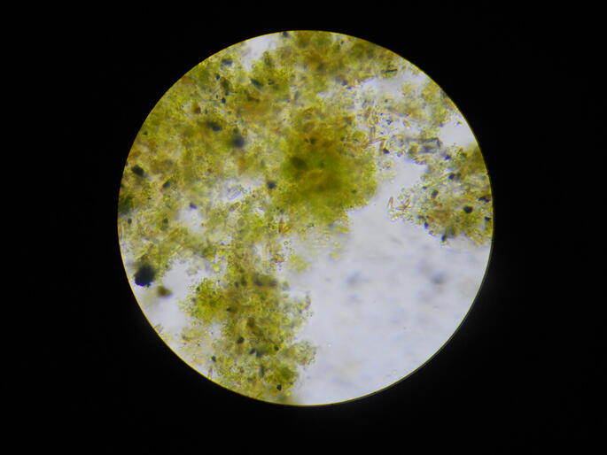 0500yzjc-456b-685x514.jpg