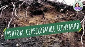 ҐРУНТОВЕ СЕРЕДОВИЩЕ ІСНУВАННЯ
