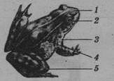 0500z1po-9408-478x337.jpg