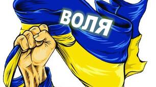 Ілюстрації. Напис-розтяжка "День Гідності та Свободи"