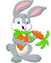 0500z47q-669c-165x206.png