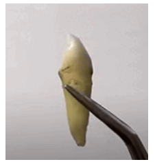 0500z5k2-bc75-226x235.png