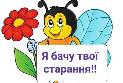 0500z5l1-5506-485x327.jpg