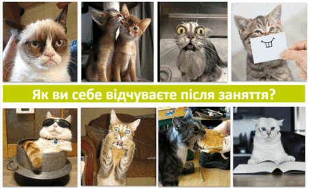 0500z5x7-a761-450x276.png