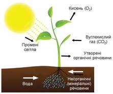 0500za6z-be5e-222x186.jpg