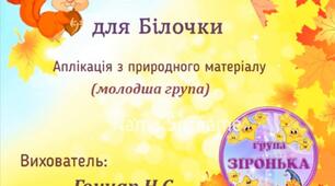 Аплікація з природного матеріалу "Хвостик для Білочки" Молодша група.