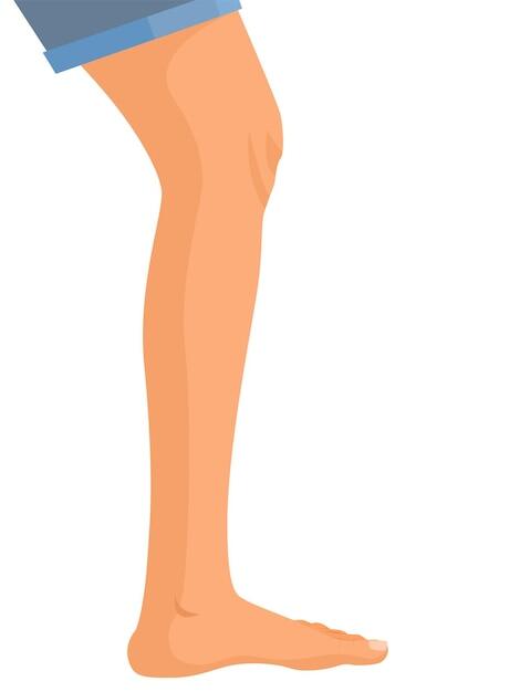 Premium Vector | Human legs profile, vector illustration for advertising, medical (health care) publications, animati