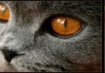 0500zcnv-f070-149x103.png