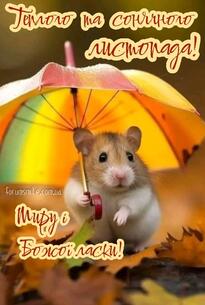 Теплого та сонячного листопада, миру і Божої ласки!