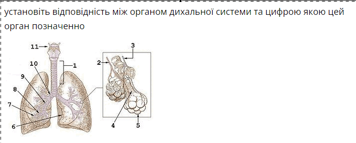 0500zdbi-7d1d-718x289.png