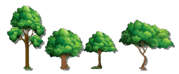 0500zdgy-14b4-363x151.png