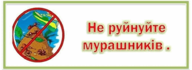 0500zdk8-5657-387x142.png