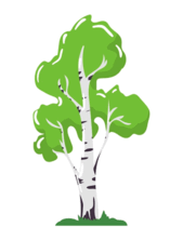 0500zdtx-78db-169x222.png