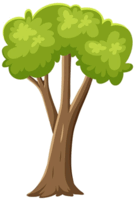 0500zduo-4c86-135x201.png