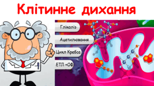 (Копія) Самостійна робота по темі «Клітинне дихання. Біохімічні механізми дихання»