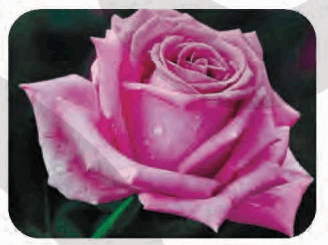 0500zfua-d4aa-328x245.png