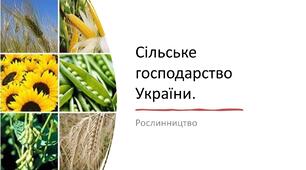 Презентація "Сільське господарство  України"