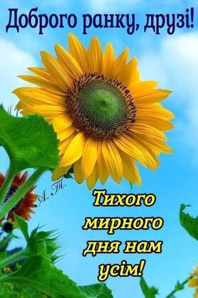 0500zhpb-9758-279x419.jpg