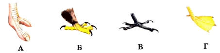 0500zi0g-3288-718x174.png