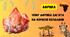 § 20. Чому Африка багата на корисні копалини. НУШ. 7 клас