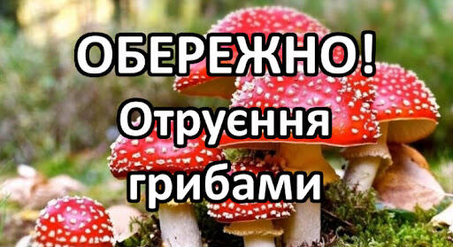 Гриби: це корисно чи смертельно небезпечно? | Медвинська громада с.Медвин, Білоцерківський район, Київська область