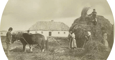 Презентація. Селянська реформа 1861 року турбота про державу чи людей