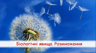 Презентація "Розмноження рослин" Інтегрований курс "Пізнаємо природу" 6 клас НУШ