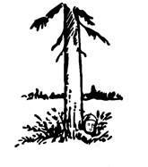 0500zl9i-0972-165x187.jpg