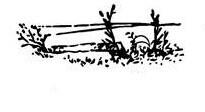 0500zlaj-02f8-205x112.jpg
