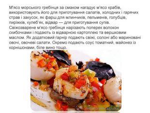 0500zso3-5423-310x233.jpg