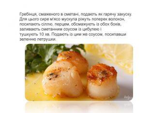 0500zso4-e877-310x233.jpg