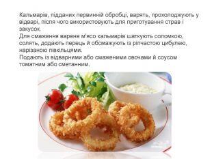 0500zso8-482e-310x233.jpg